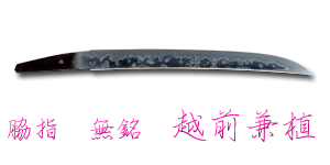 wakizashi_t287233_w5022