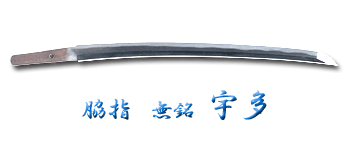 wakizashi_t294780_w5081